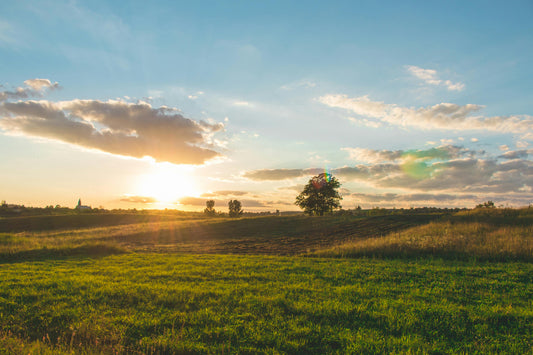 Scotland’s New £14 Million Future Farming Investment Scheme