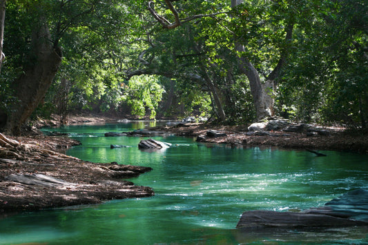 Landscape Recovery: Large‑Scale Projects with Long‑Term, Multi‑Million Funding