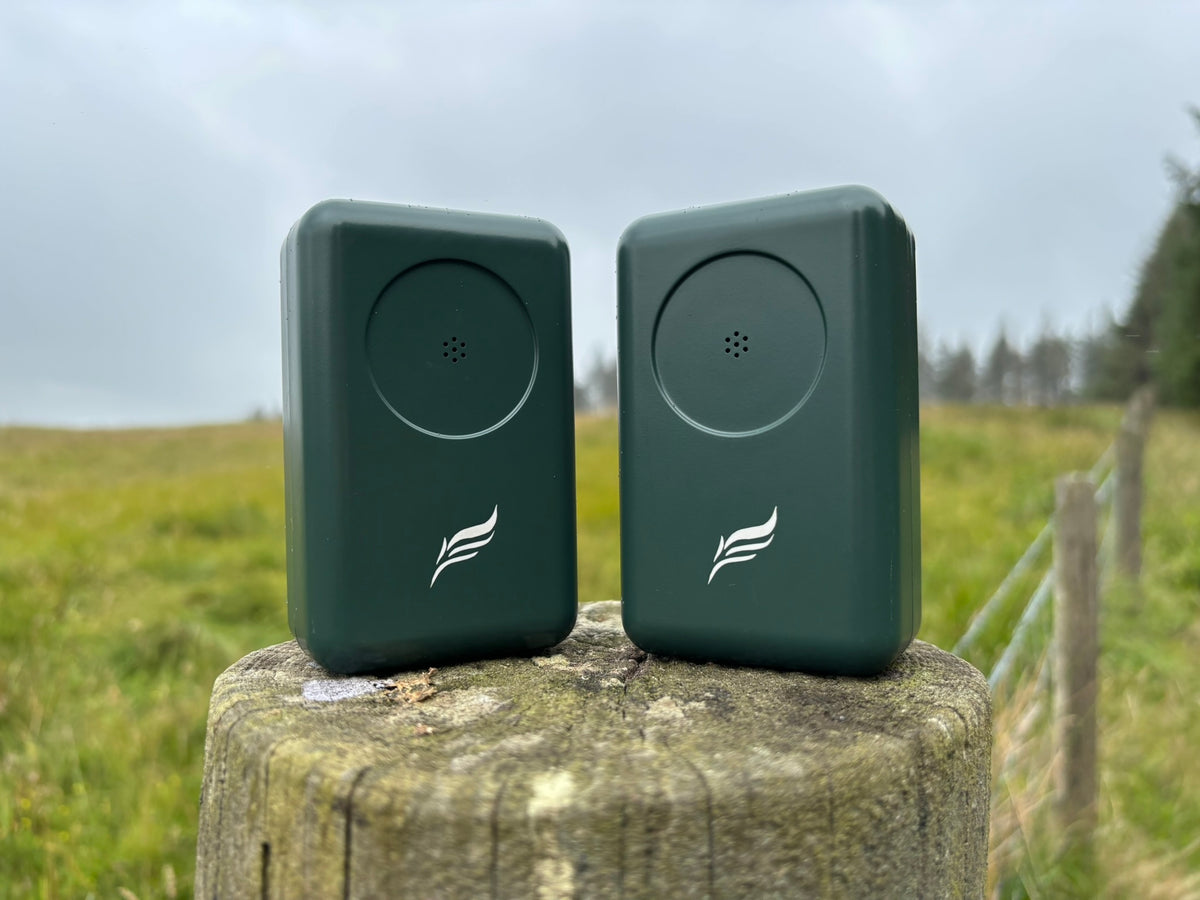 Field Bundle